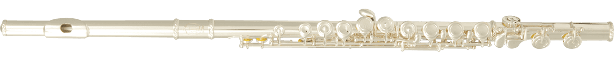 Flute - C - Richards Guitars Of Stratford Upon Avon