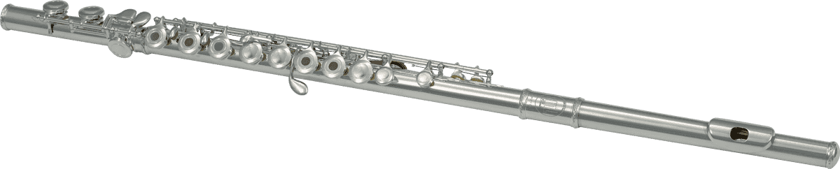 Flute (Entry Level) - C - Richards Guitars Of Stratford Upon Avon