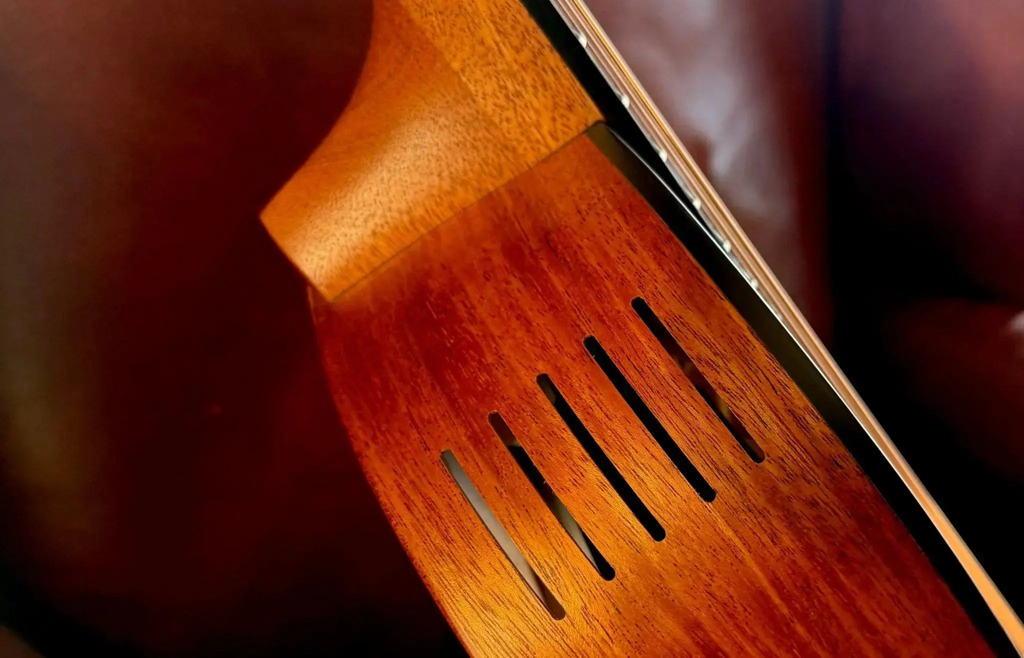 Furch Pioneer CM Left Handed : Western red cedar top with African
