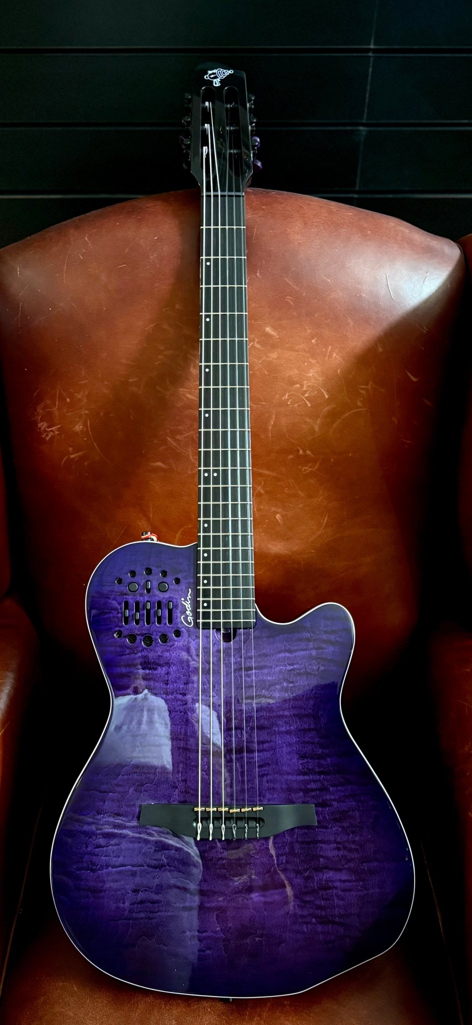 Godin ACS Nylon Steve Stevens Signature 25th Anniversary (Arriving June 2026) - Richards Guitars Of Stratford Upon Avon