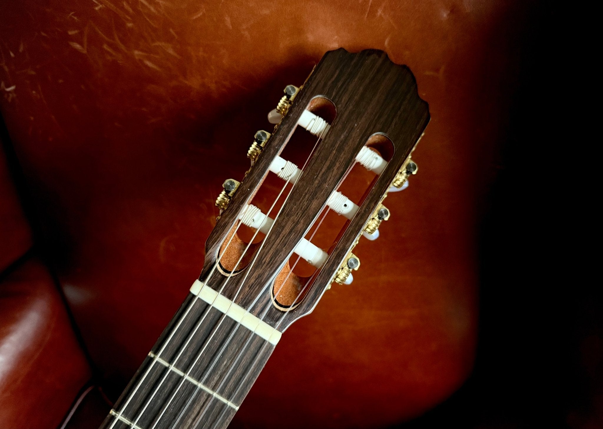Kremona F65C Solid Red Cedar, Indian Rosewood Veneer Nylon Strung Guitar - Richards Guitars Of Stratford Upon Avon