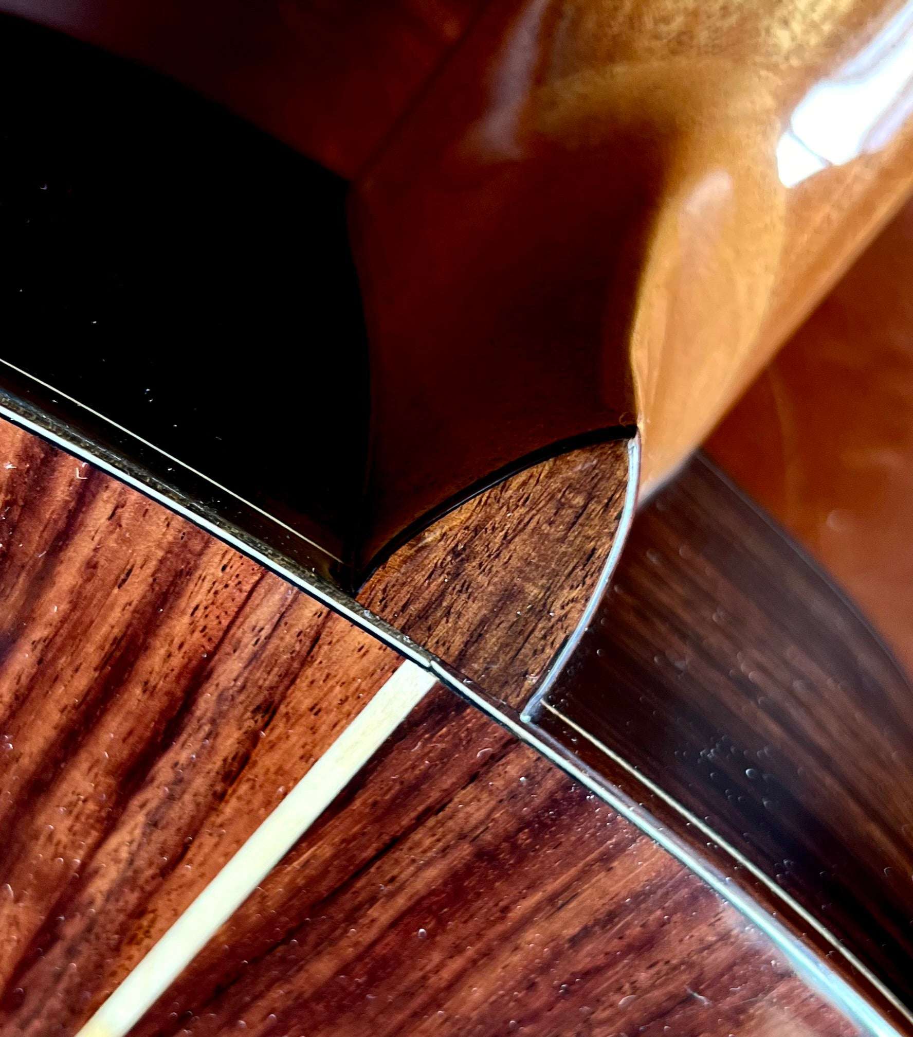 Kremona FIESTA FC, Solid Red Cedar, Solid Indian Rosewood - Richards Guitars Of Stratford Upon Avon