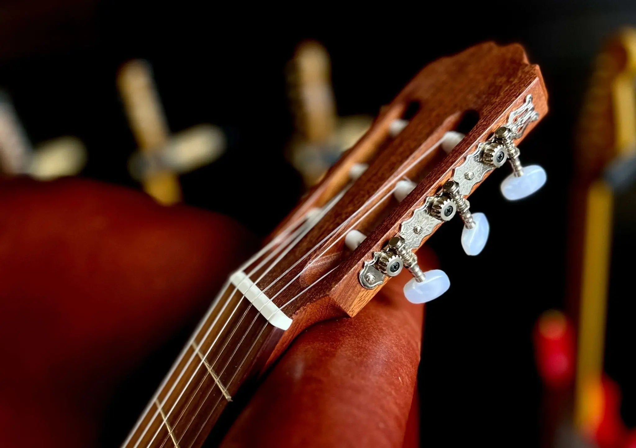 Kremona Soloist S65C-OP Open Pore, Solid Red Cedar, Sapelli Veneer -