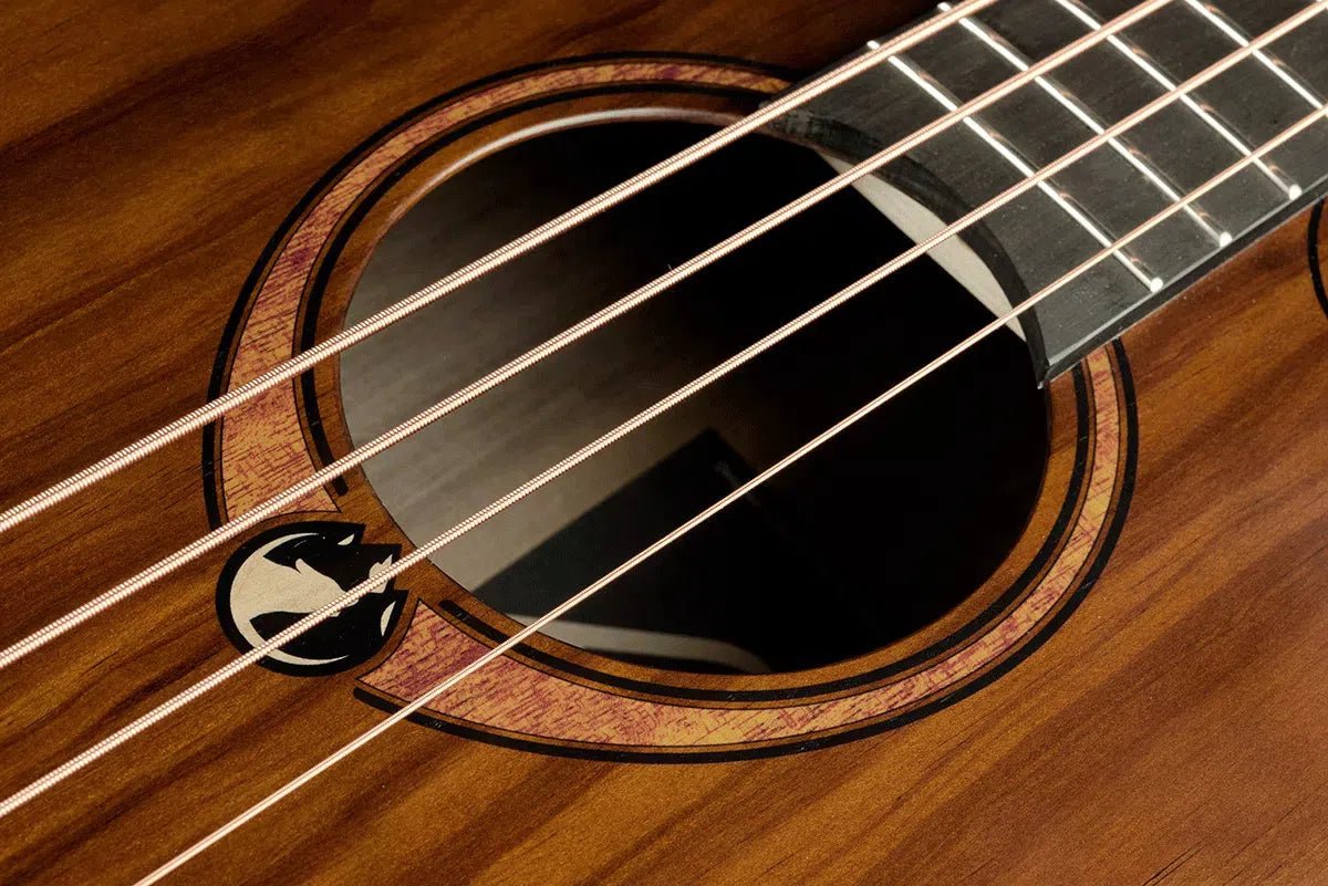 LAG Sauvage Jumbo Cutaway Electro Acoustic Bass Guitar - Richards Guitars Of Stratford Upon Avon