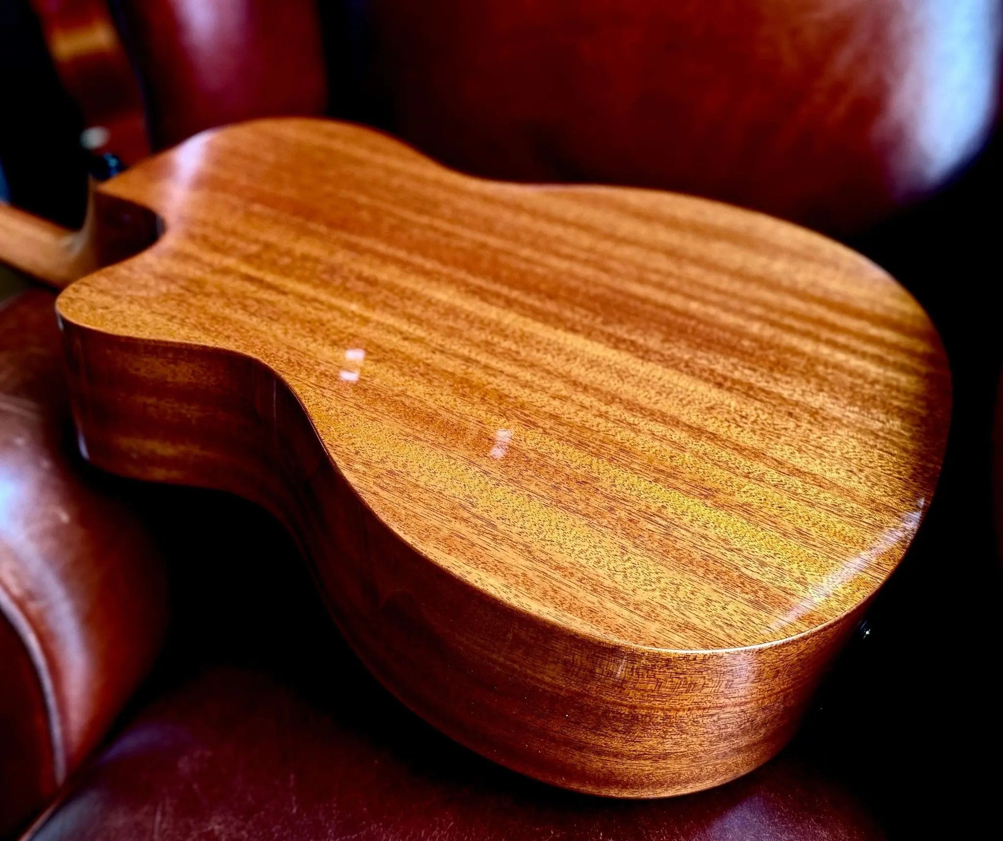 LAG TRAMONTANE 98 T98ACE AUDITORIUM, CUTAWAY, ELECTRO - Richards