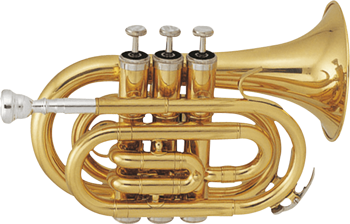 Pocket Trumpet - Bb - Richards Guitars Of Stratford Upon Avon