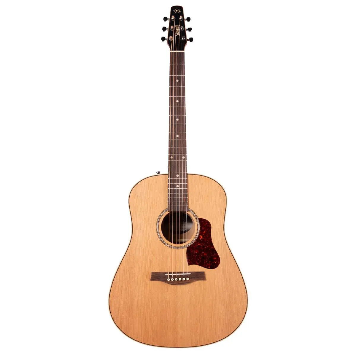 Seagull Coastline Momentum Electro-Acoustic Guitar ~ HG - Richards