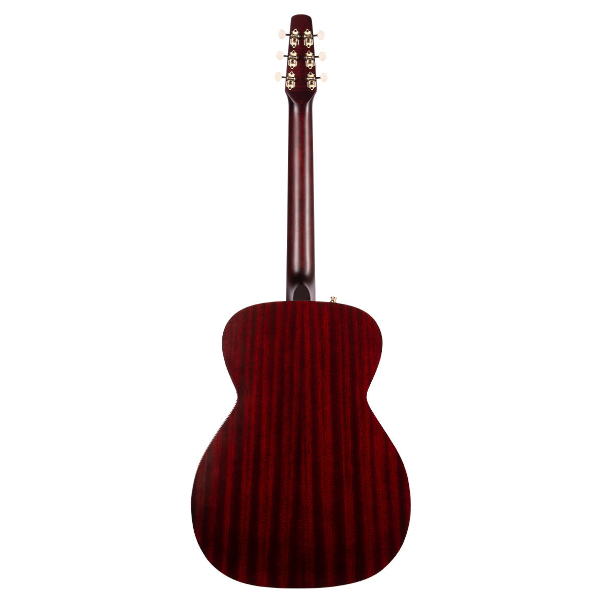 Seagull M6 LTD Electro-Acoustic Guitar ~ Ruby Red
