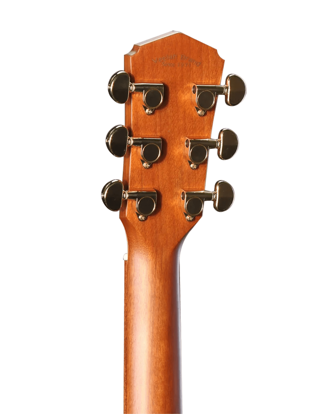 Veelah V5 OMC Solid Top Spruce Electro Acoustic Guitar w/ Gig Bag - Richards Guitars Of Stratford Upon Avon