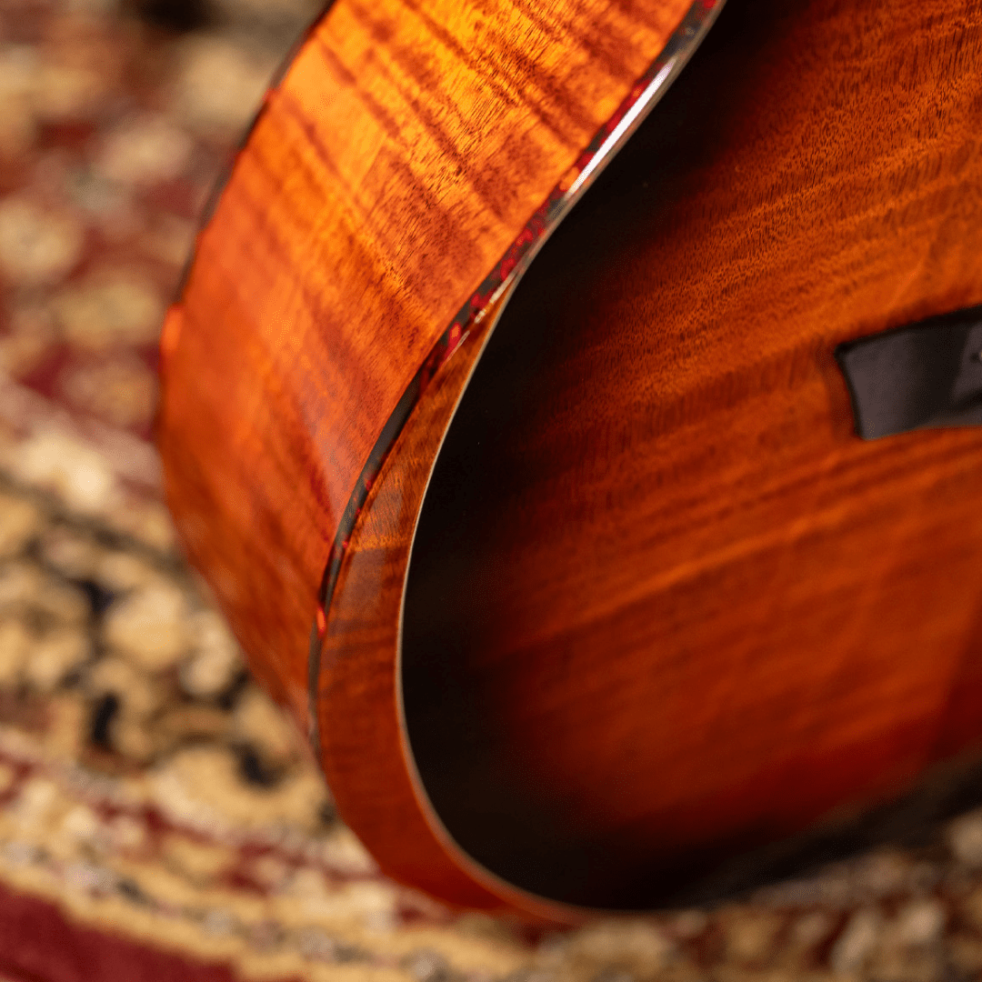 Washburm Comfort WCG12FCE Electro Acoustic Guitar w' £225 Custom Pro Setup Package Included - Richards Guitars Of Stratford Upon Avon