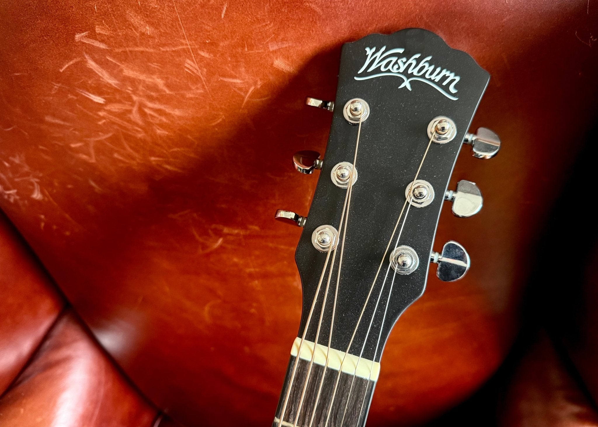 Washburn EBONY FE - Folk - Natural Matte Electro Acoustic Guitar - Richards Guitars Of Stratford Upon Avon