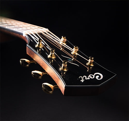 Cort Gold D6 w/case Natural, Acoustic Guitar for sale at Richards Guitars.