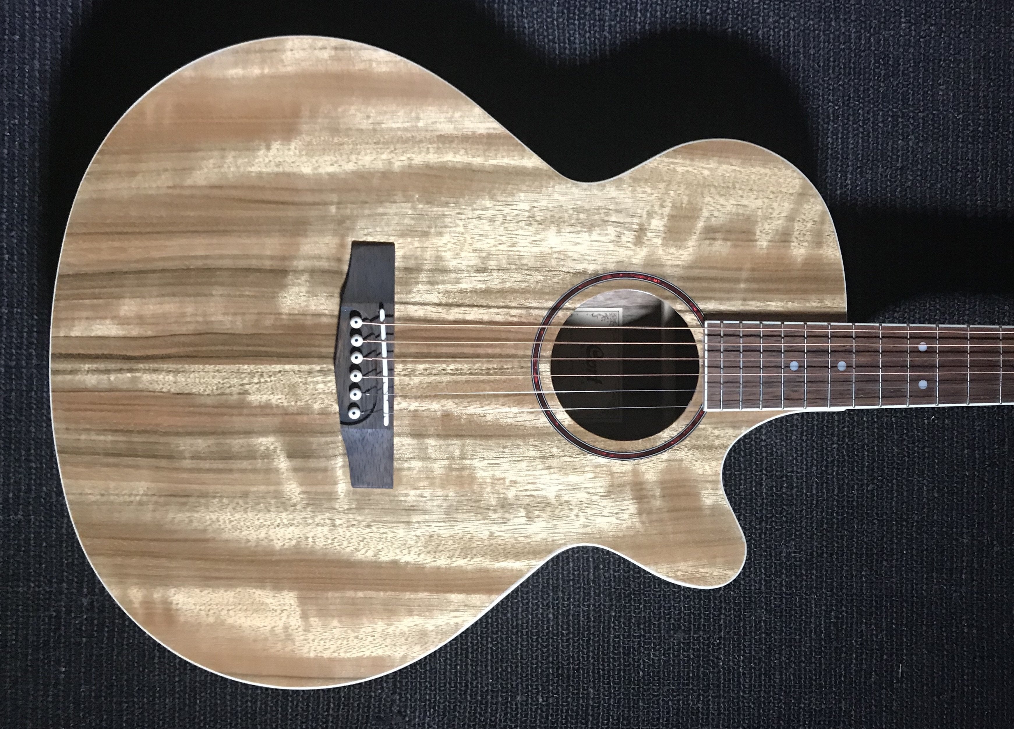 Cort SFX DAO, Electro Acoustic Guitar for sale at Richards Guitars.