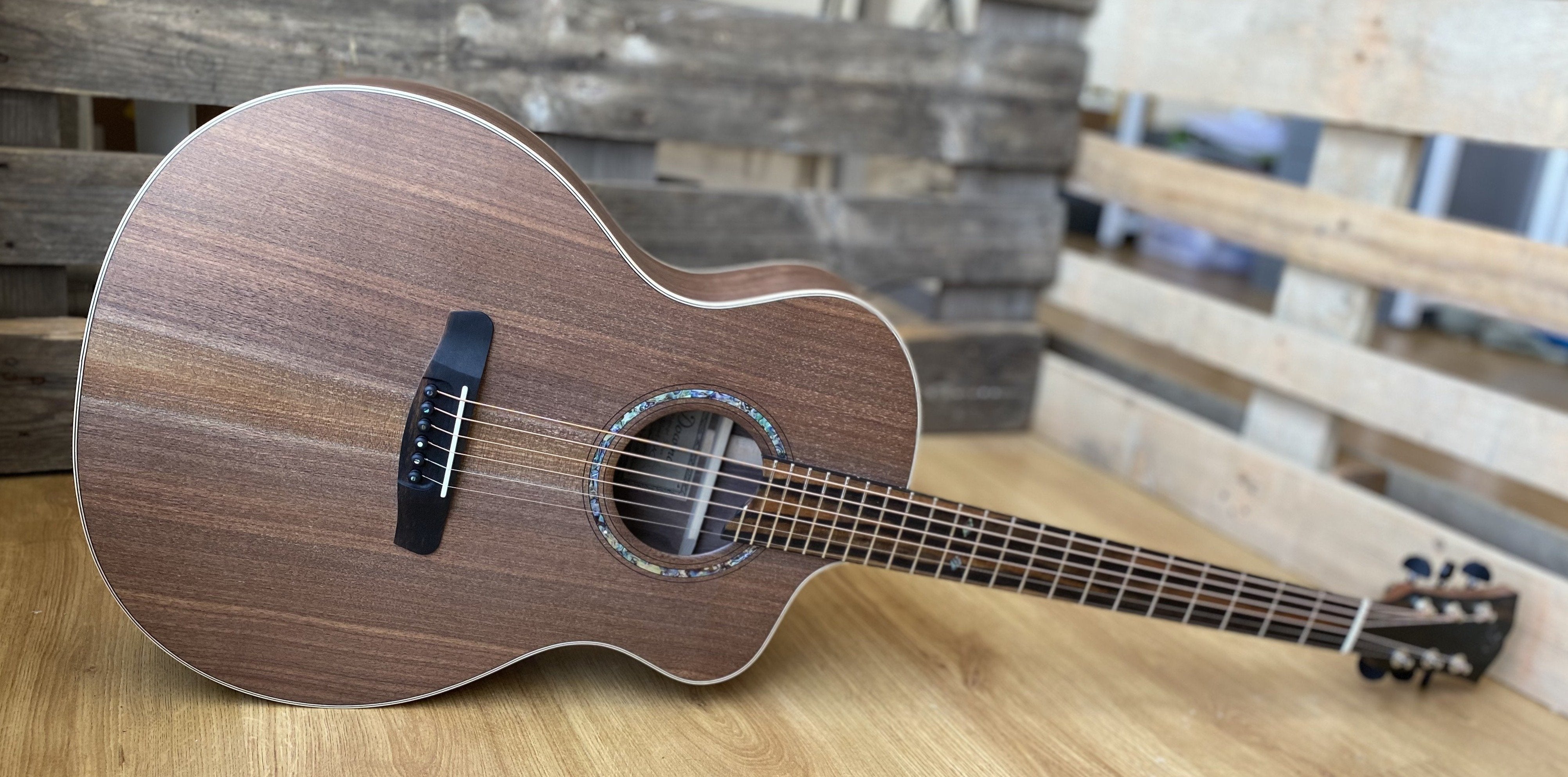 Dowina Walnut Tribute GAC, Acoustic Guitar for sale at Richards Guitars.