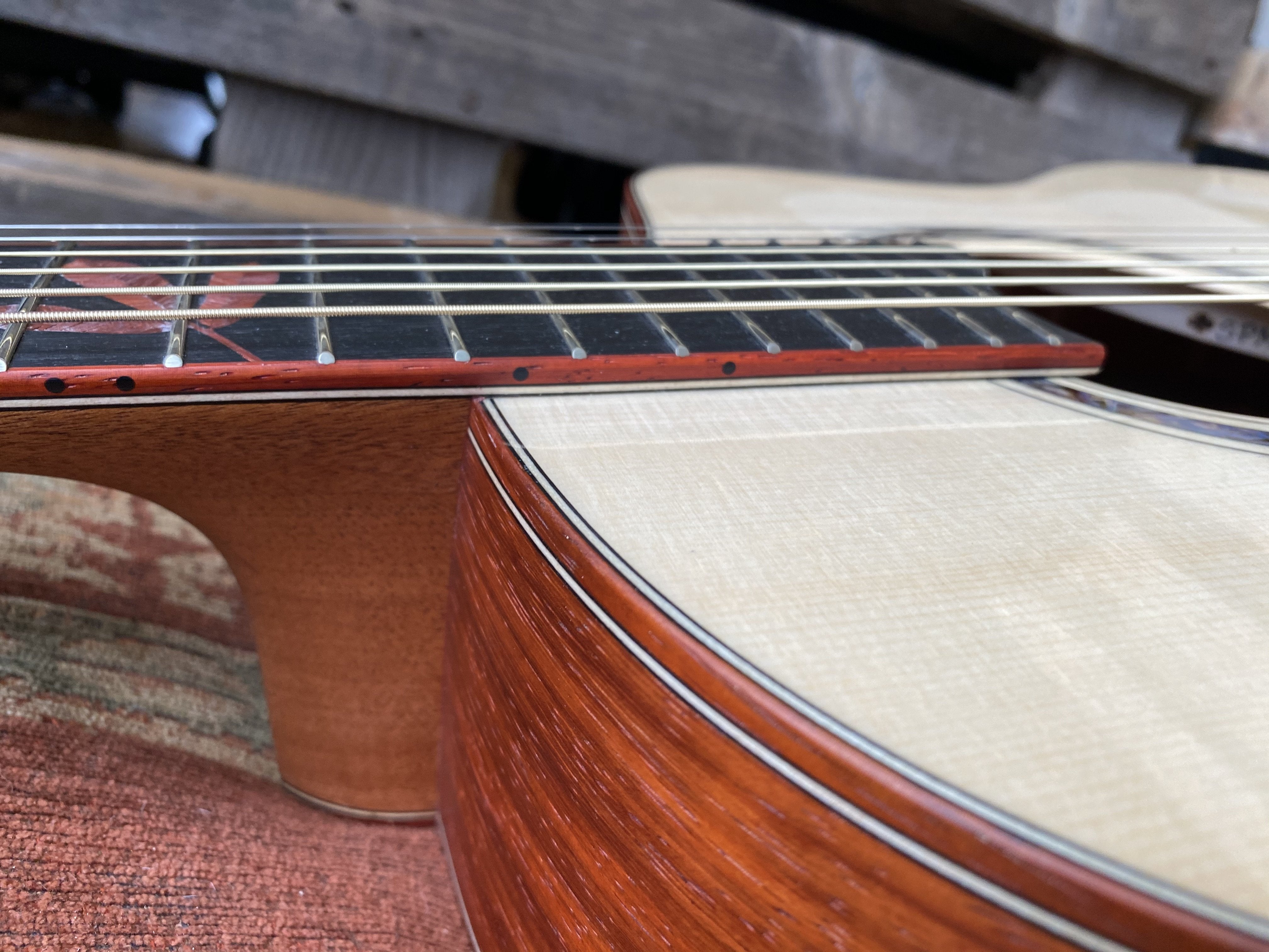 Dowina PADAUK GAC SWS (Swiss Spruce), Acoustic Guitar for sale at Richards Guitars.