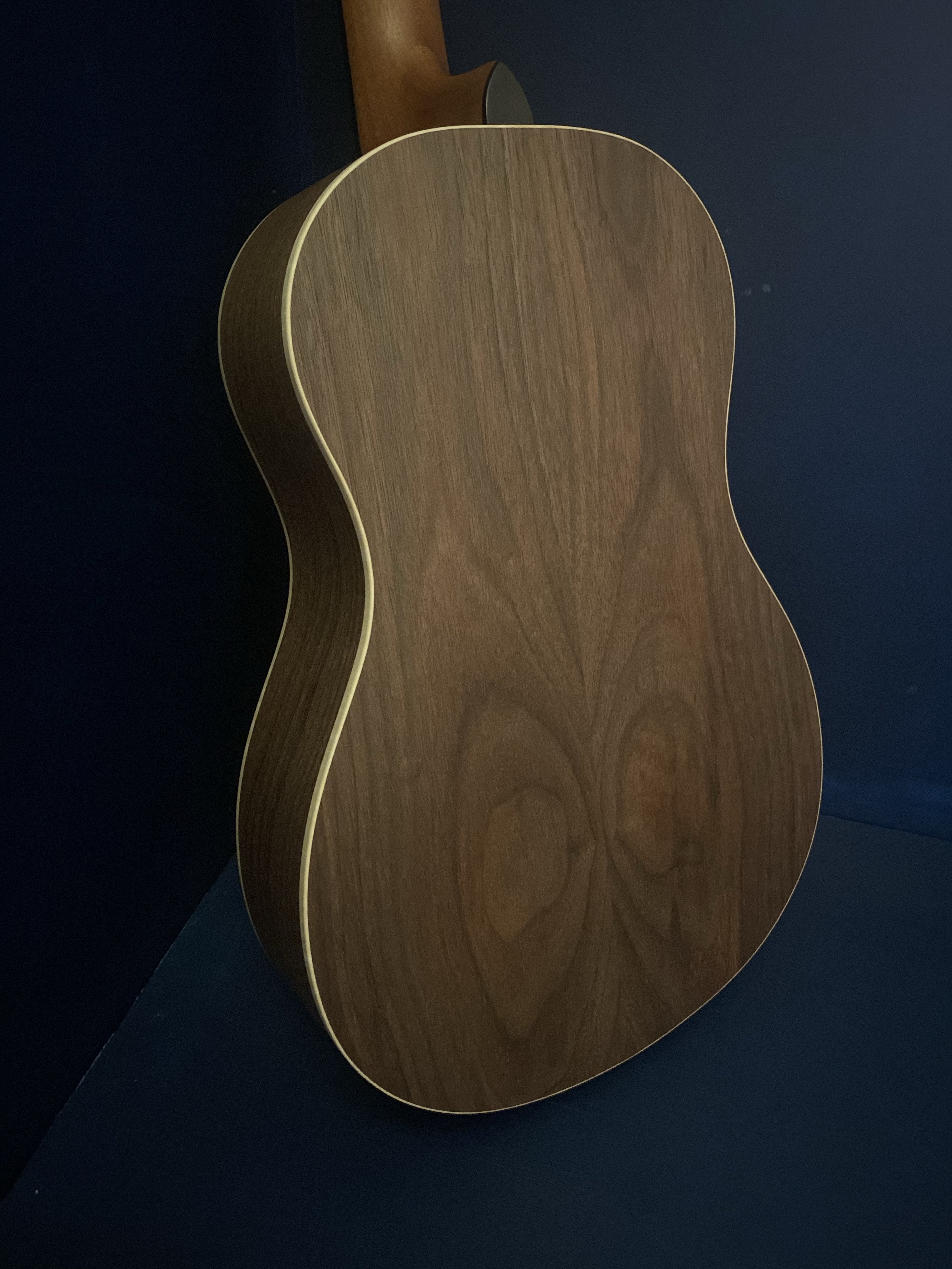 Dowina Walnut Tribute Deluxe BV, Acoustic Guitar for sale at Richards Guitars.