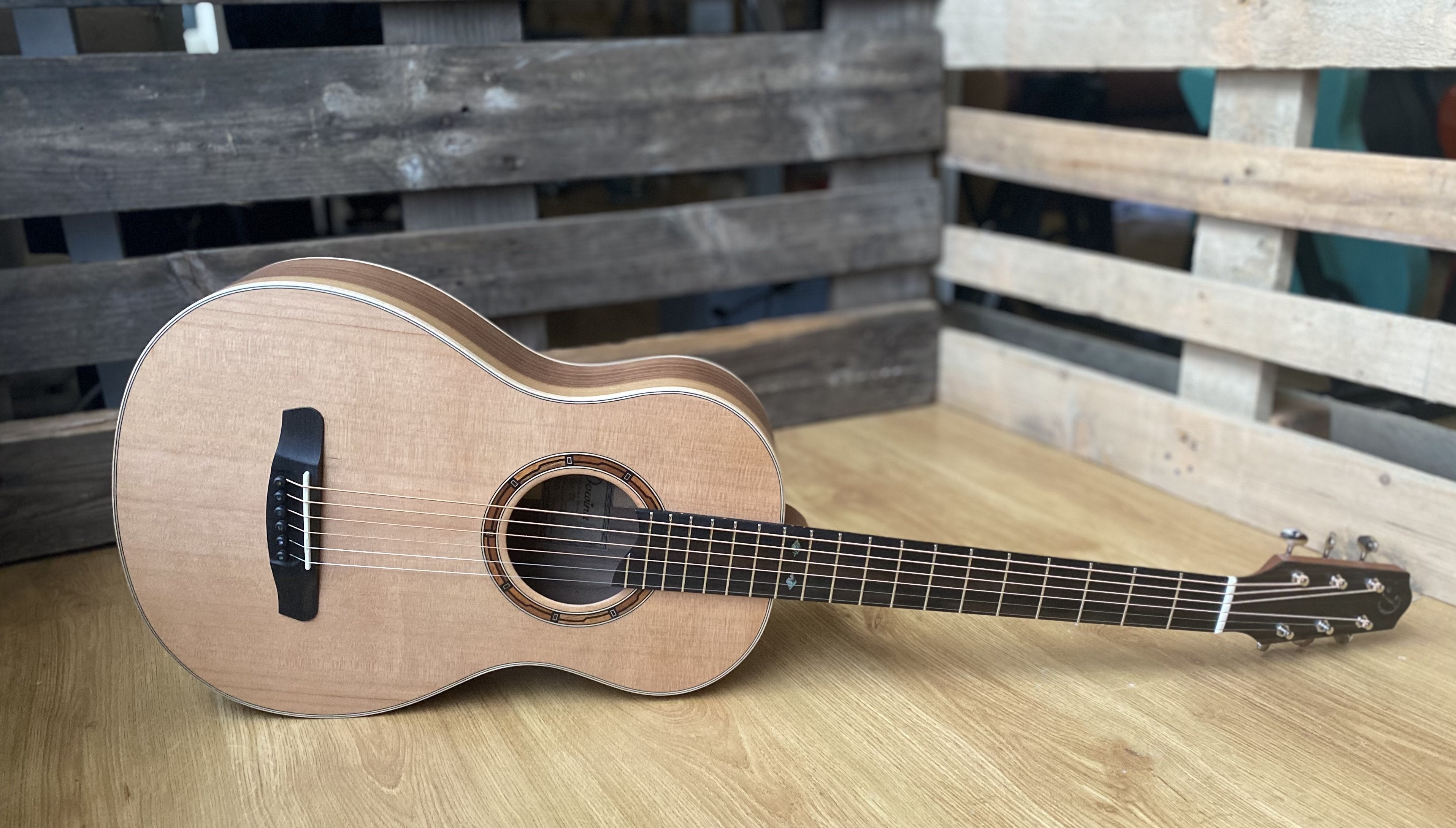 Dowina Walnut (Sol) BV, Acoustic Guitar for sale at Richards Guitars.