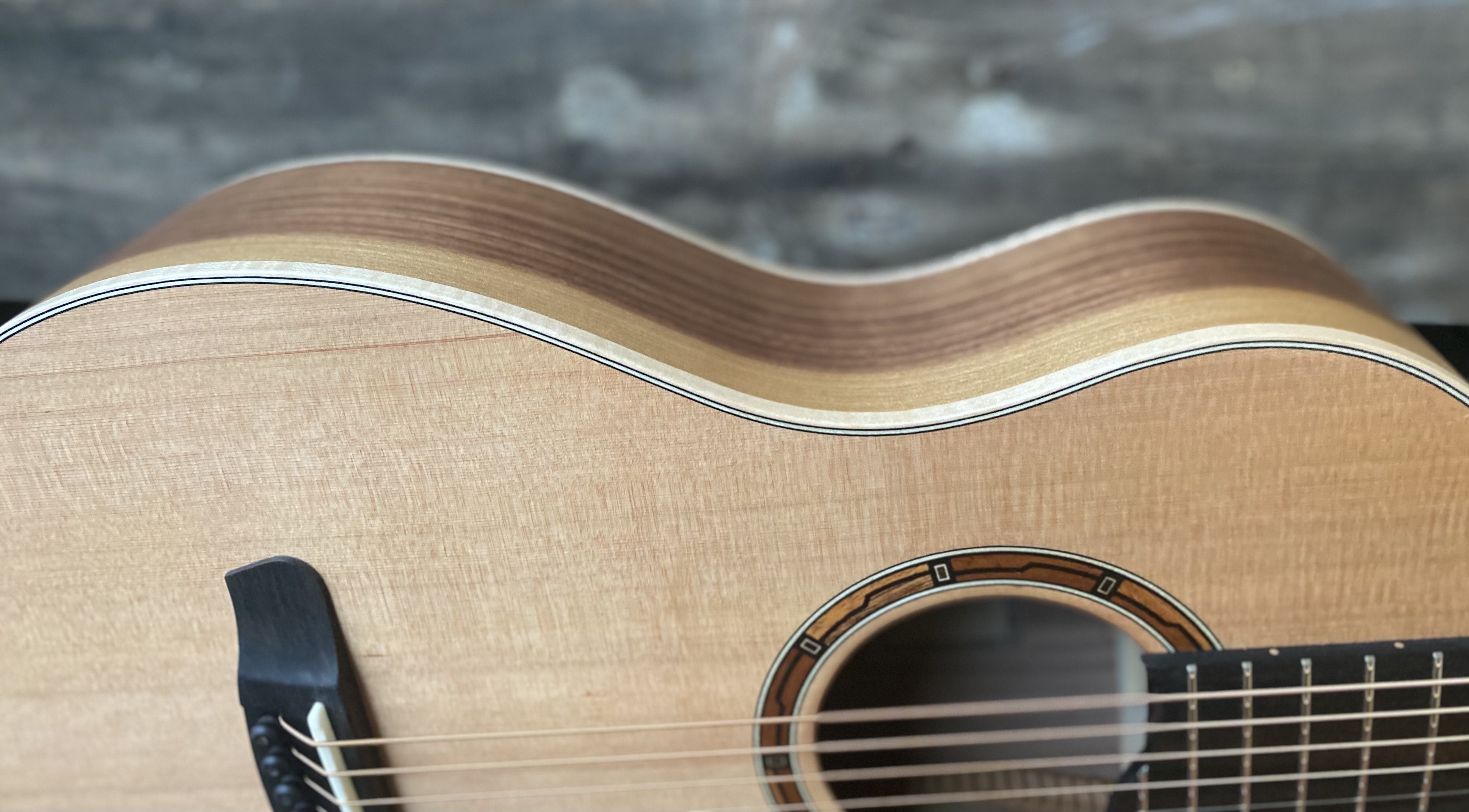 Dowina Walnut BV, Acoustic Guitar for sale at Richards Guitars.