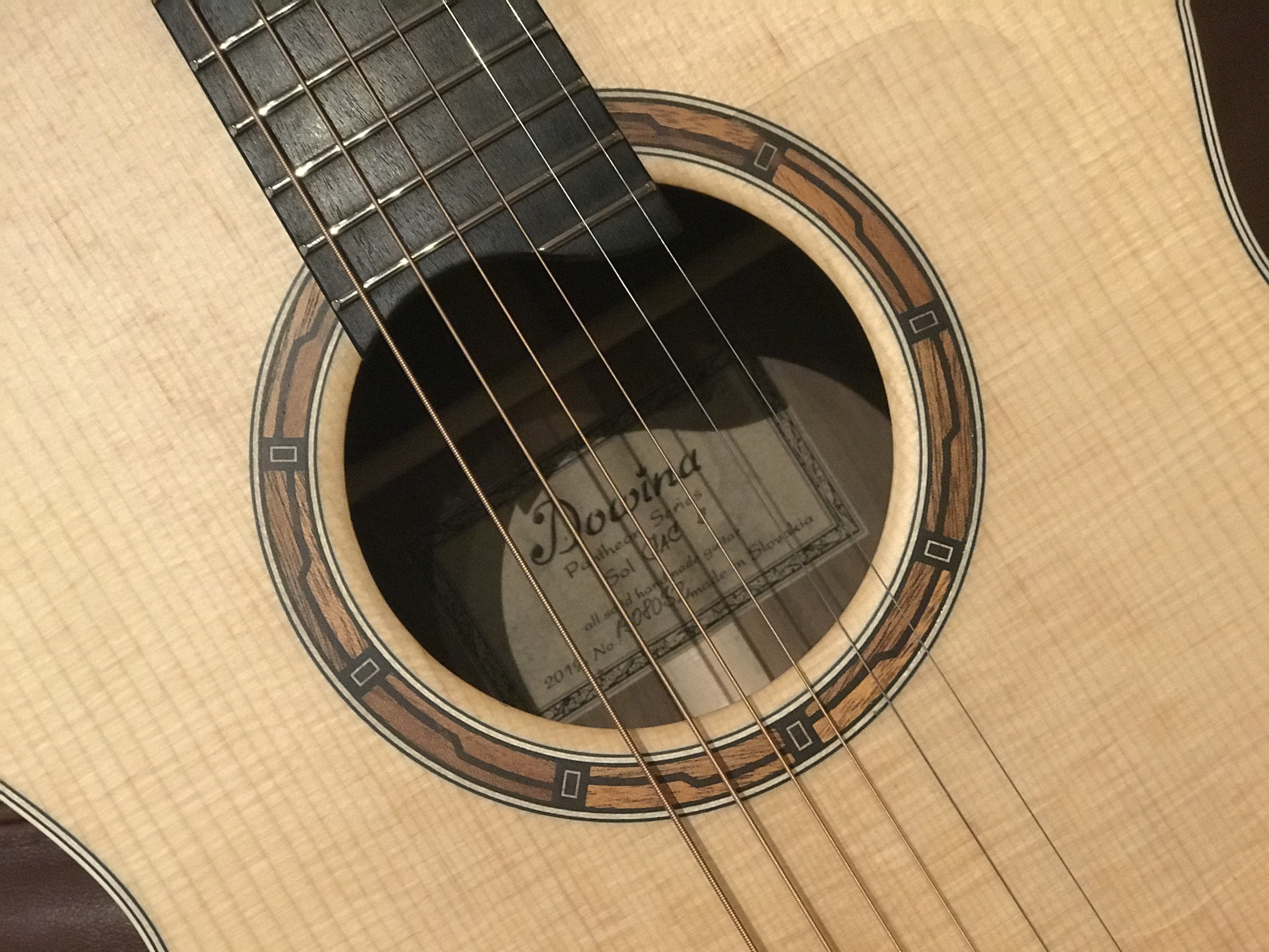 Dowina Walnut GAC Swiss Moon Spruce, Acoustic Guitar for sale at Richards Guitars.