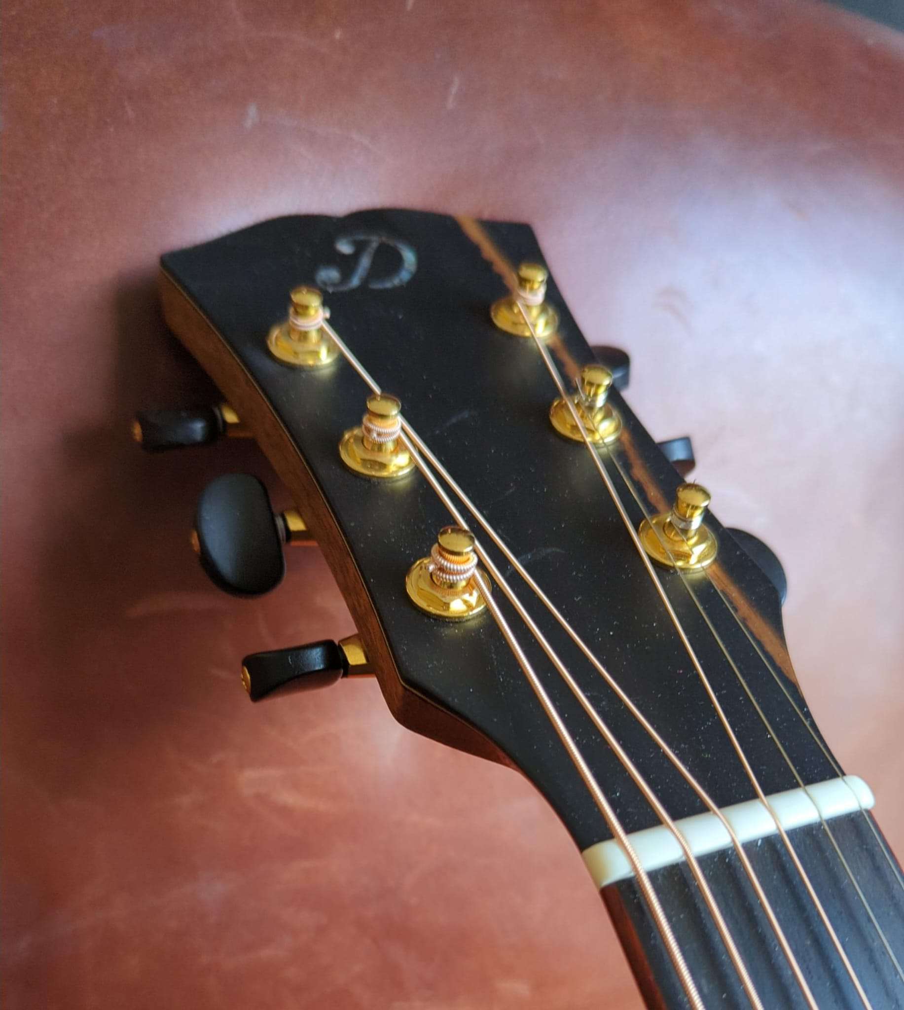 Dowina Padauk DLX GAC TSWS with LR Baggs Anthem (used), Electro Acoustic Guitar for sale at Richards Guitars.