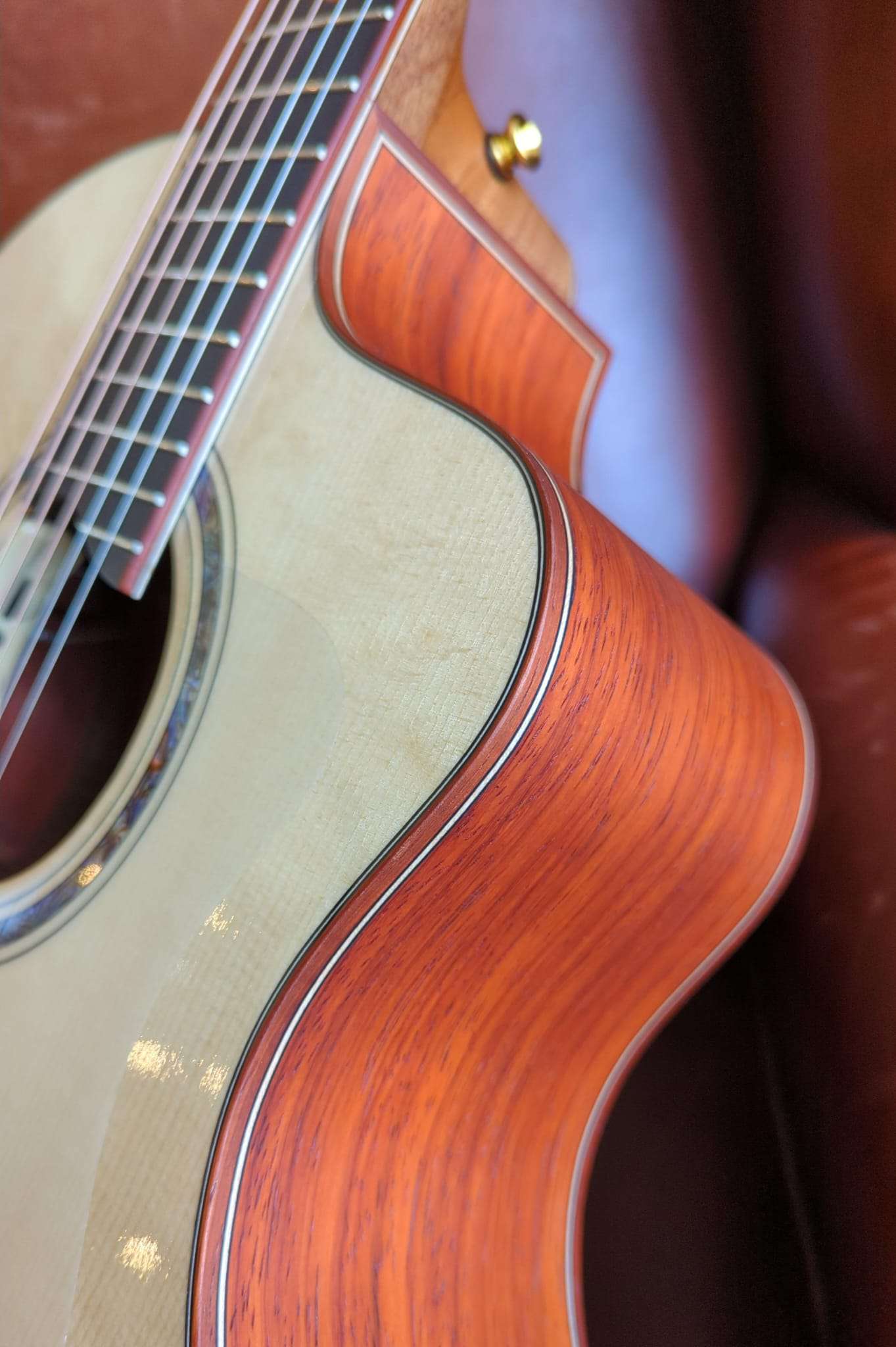Dowina Padauk DLX GAC TSWS with LR Baggs Anthem (used), Electro Acoustic Guitar for sale at Richards Guitars.
