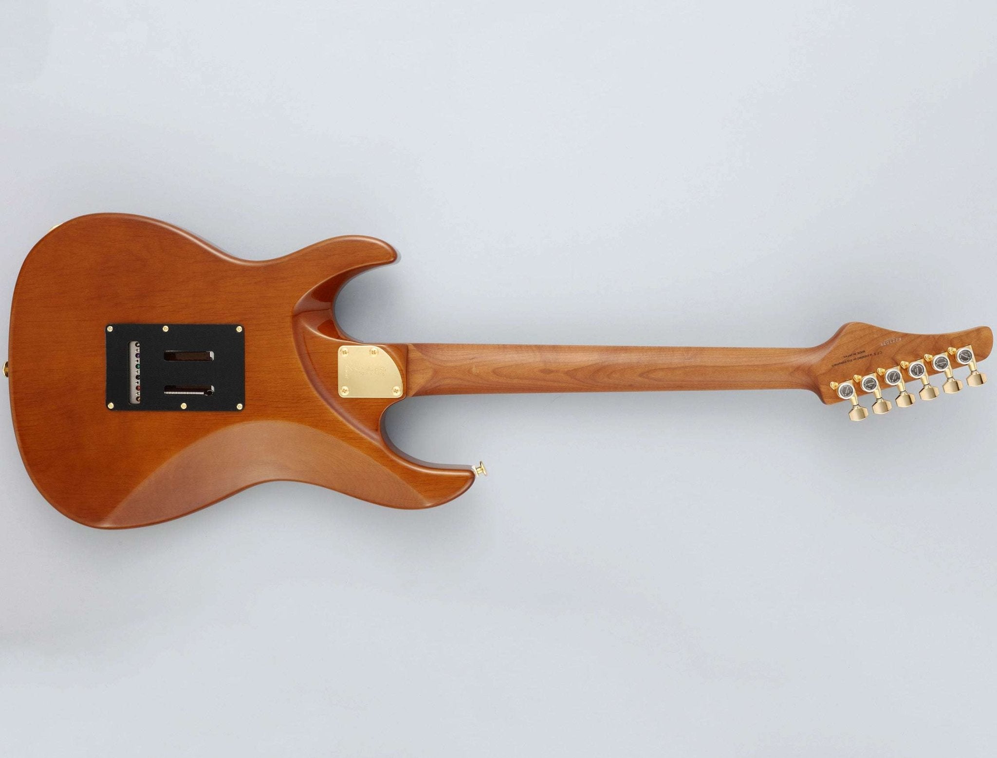 FGN Guitars Expert Odyssey HCB Hojicha Burst - Richards Guitars Of Stratford Upon Avon