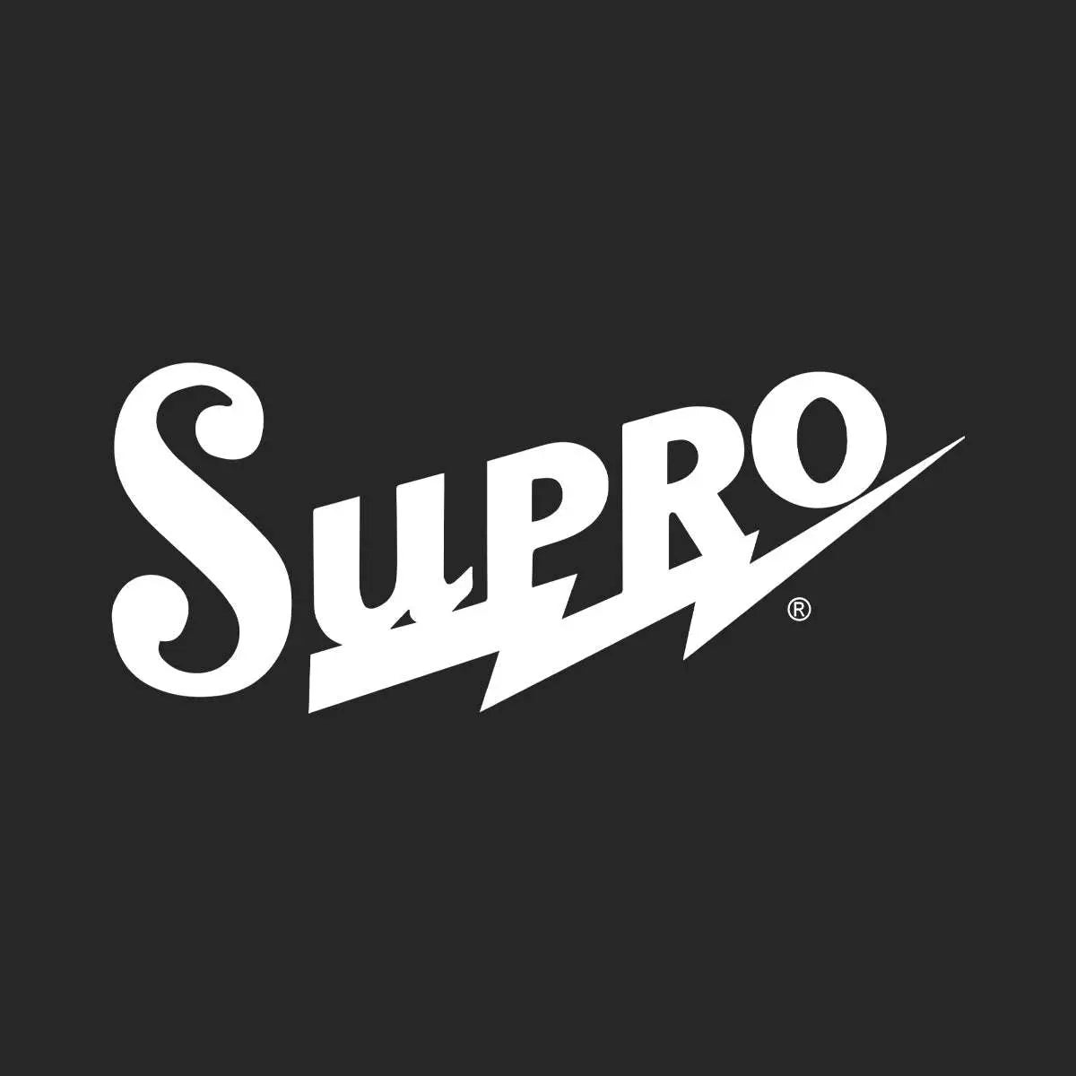 IN BUILD: - Vintage V100 ProShop Unique ~ Boulevard Black - Richards Guitars Of Stratford Upon Avon