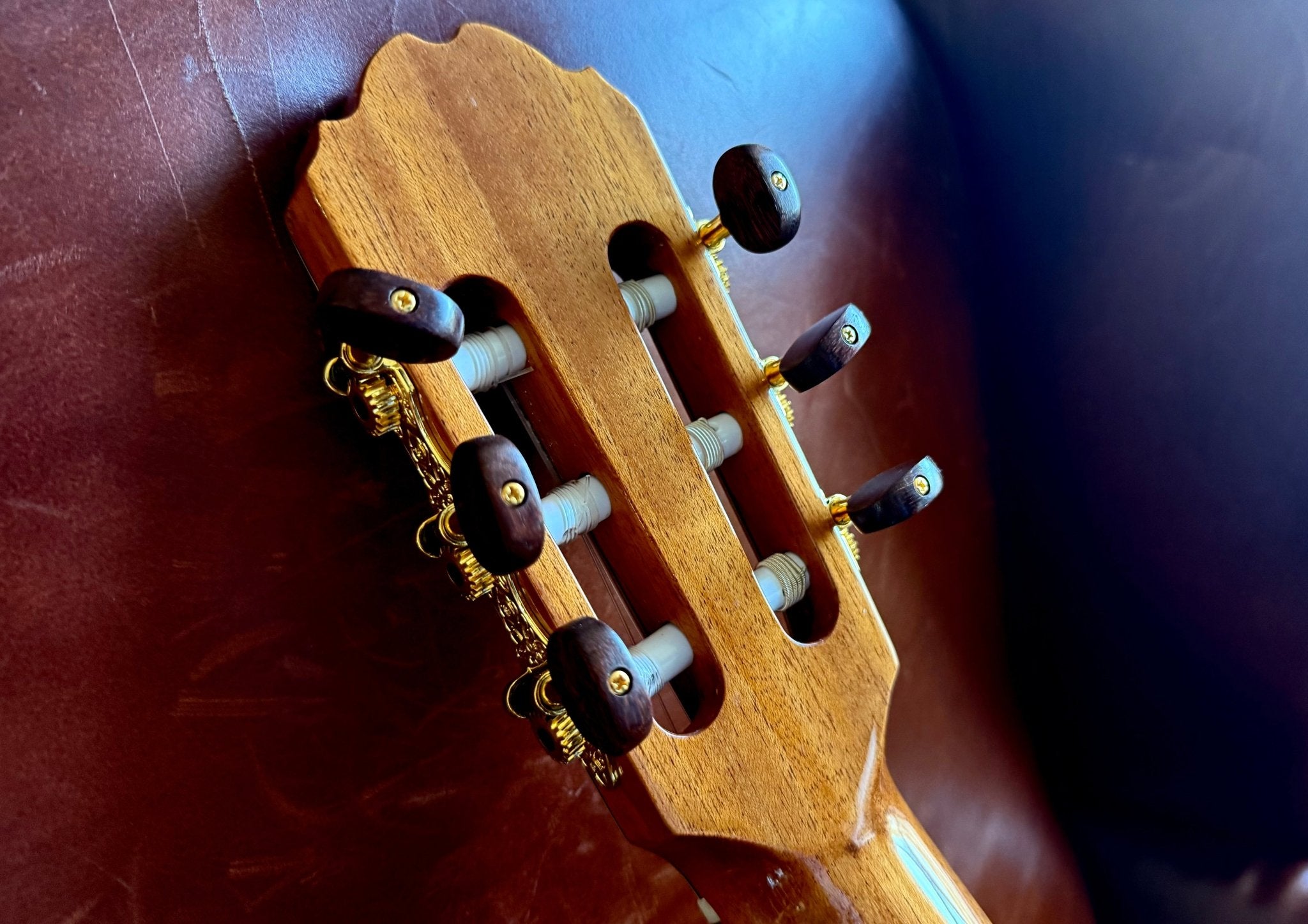 Kremona F65CWS, Solid Spruce, Indian Rosewood Back & Sides, Hand Made Electro Nylon Strung Guitar - Richards Guitars Of Stratford Upon Avon