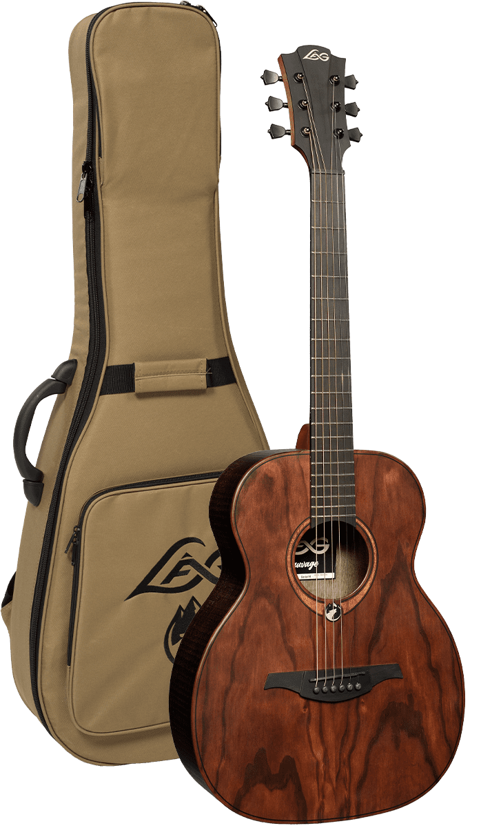 Sauvage - Travel - Richards Guitars Of Stratford Upon Avon
