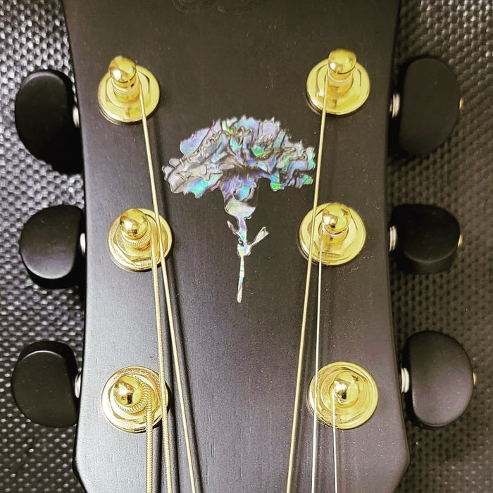 Something so incredi - Richards Guitars Of Stratford Upon Avon