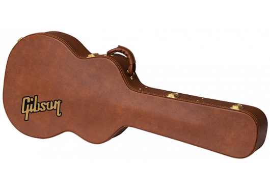 AGA ASLGCASE - ORG - Richards Guitars Of Stratford Upon Avon