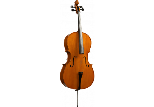 HERALD - QHE AS344 - Richards Guitars Of Stratford Upon Avon
