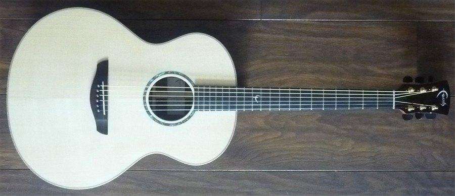 Faith FNHG Guitarra Acústica (Neptune HiGloss), Guitarra Acústica en venta en Richards Guitars.