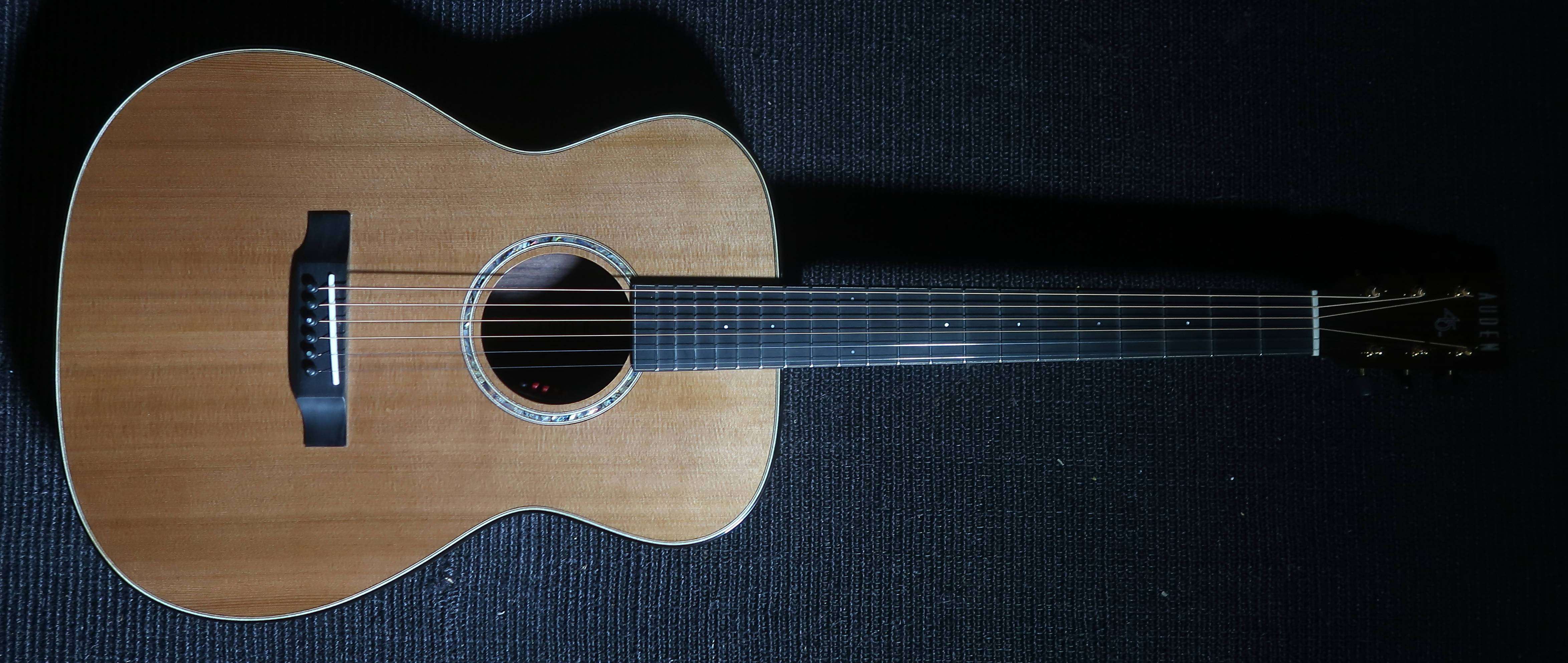 Test Guitar, Electric Guitar for sale at Richards Guitars.