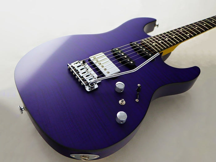 FGN Guitars - 2022 Stock Arriving From April - Richards Guitars Of Stratford Upon Avon
