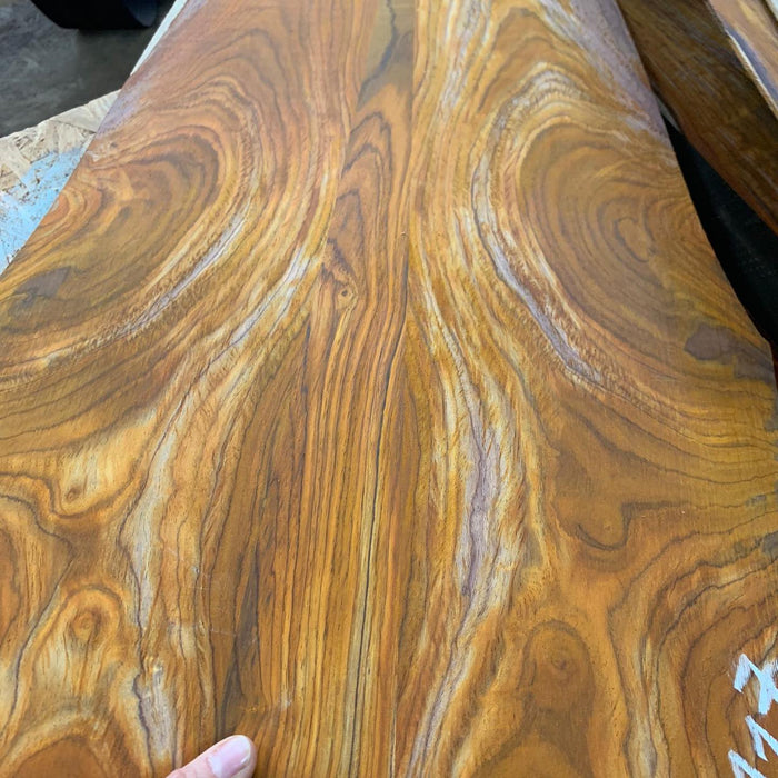 Zuzka “Queen of wo - Richards Guitars Of Stratford Upon Avon