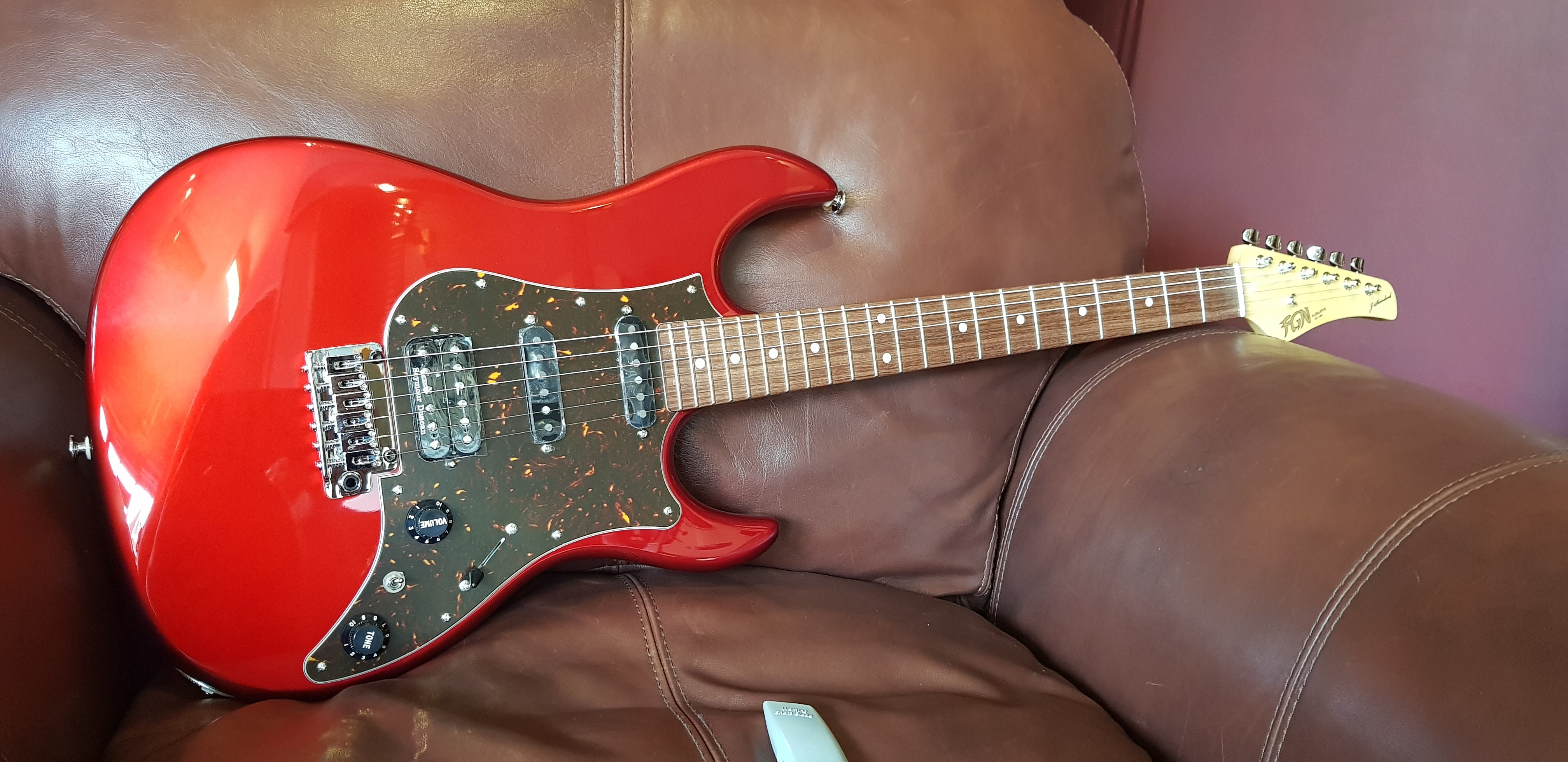 FGN Guitars Delivered August 2020