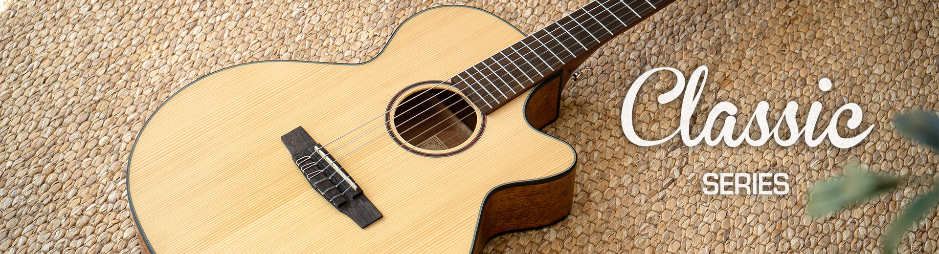 Cort Electro Nylon String Guitars