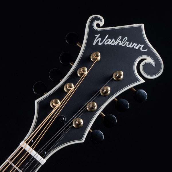 Washburn M118SW - Mandoline - Vintage Natural Mandoline, Mandoline à vendre chez Richards Guitars.