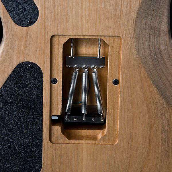 Washburn Nuno Bettencourt N4-NUNO VINTAGE USA Electric Guitar, Guitare électrique en vente chez Richards Guitars.
