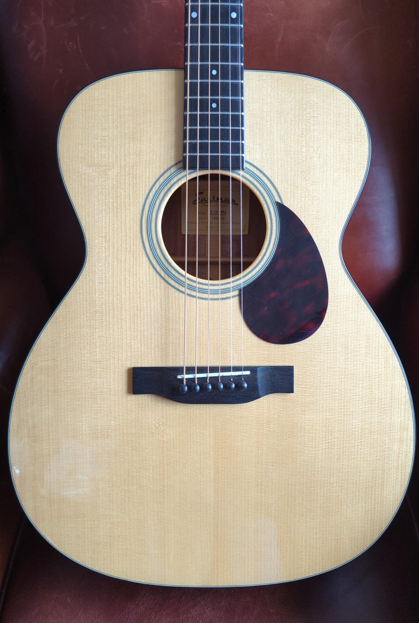 Eastman E10 OM [Used]