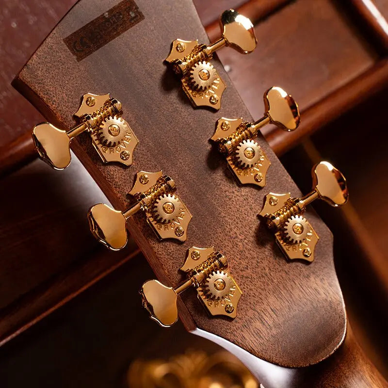 Cort Gold A10 Cocobolo Electro Acoustic Guitar - Richards Guitars Of Stratford Upon Avon