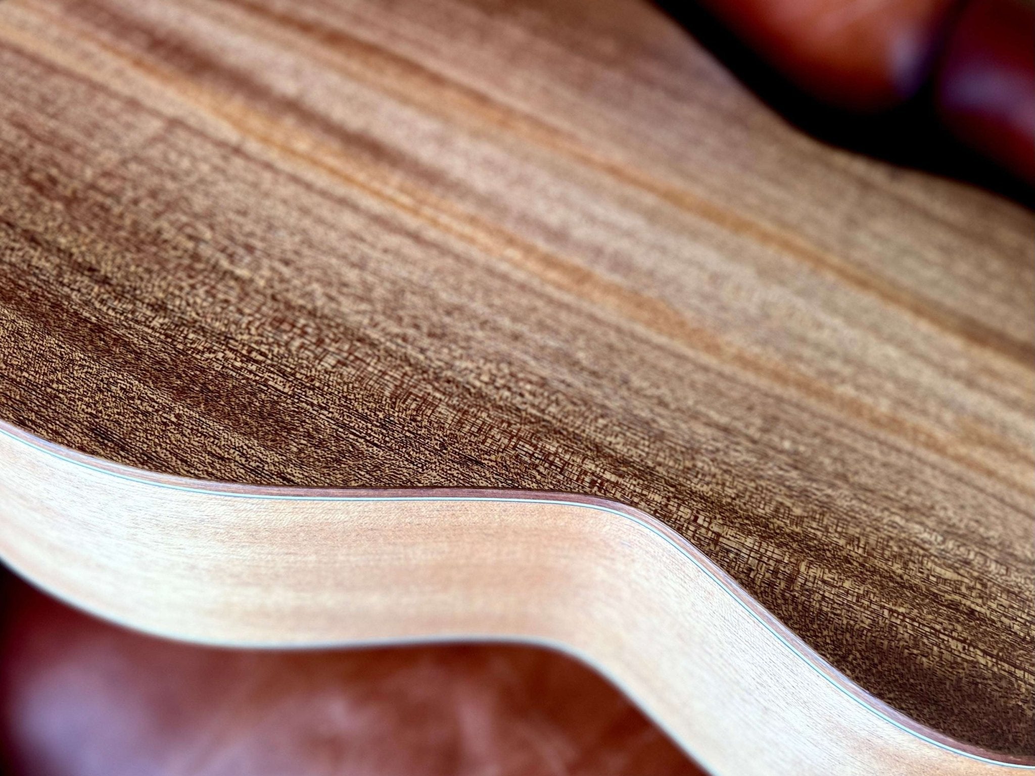 Dowina Mahogany OMG - H Cedar. OM Body Nylon Hybrid Acoustic Guitar - Richards Guitars Of Stratford Upon Avon