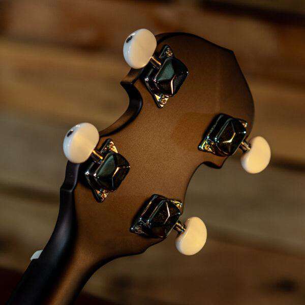 Washburn B8 - PACK Banjo Banjo - Richards Guitars Of Stratford Upon Avon