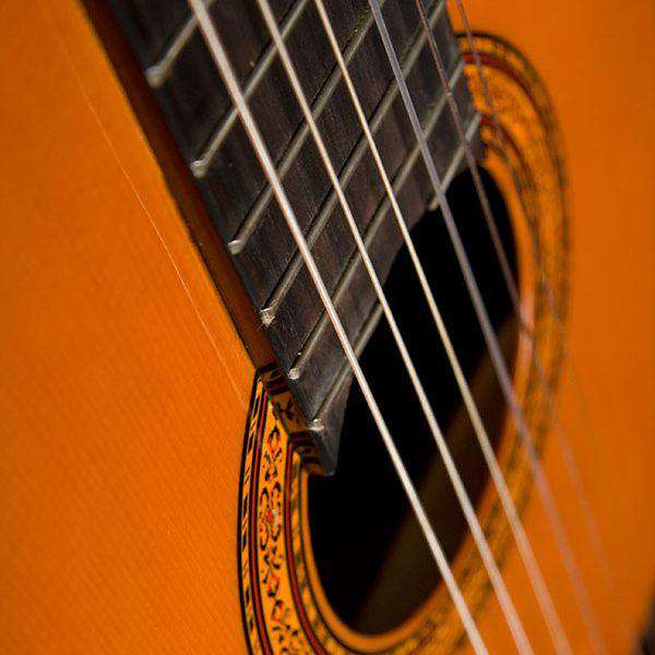 Washburn C5 Classical - Natural Nylon Strung Guitar - Richards Guitars Of Stratford Upon Avon