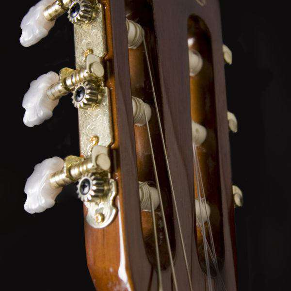 Washburn C5 Classical - Natural Nylon Strung Guitar - Richards Guitars Of Stratford Upon Avon