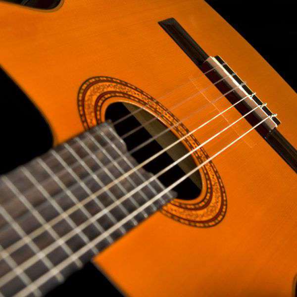 Washburn C5CE Classical - Natural Nylon Strung Guitar - Richards Guitars Of Stratford Upon Avon