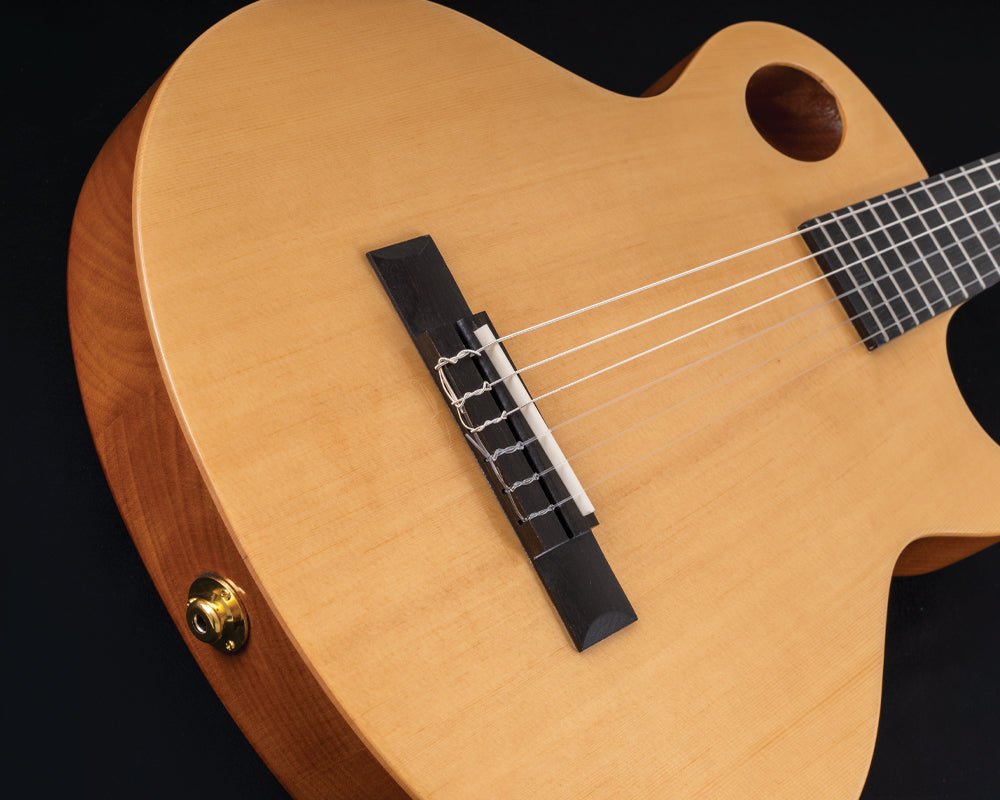 Washburn EACT42S - Thinline - Natural Electro Nylon Strung Guitar w'£225 Custom Pro Setup & Back Up Service - Richards Guitars Of Stratford Upon Avon