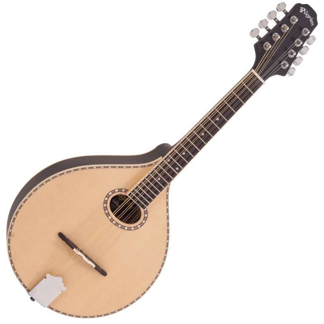 Vintage* VPMD100, Mandolin for sale at Richards Guitars.