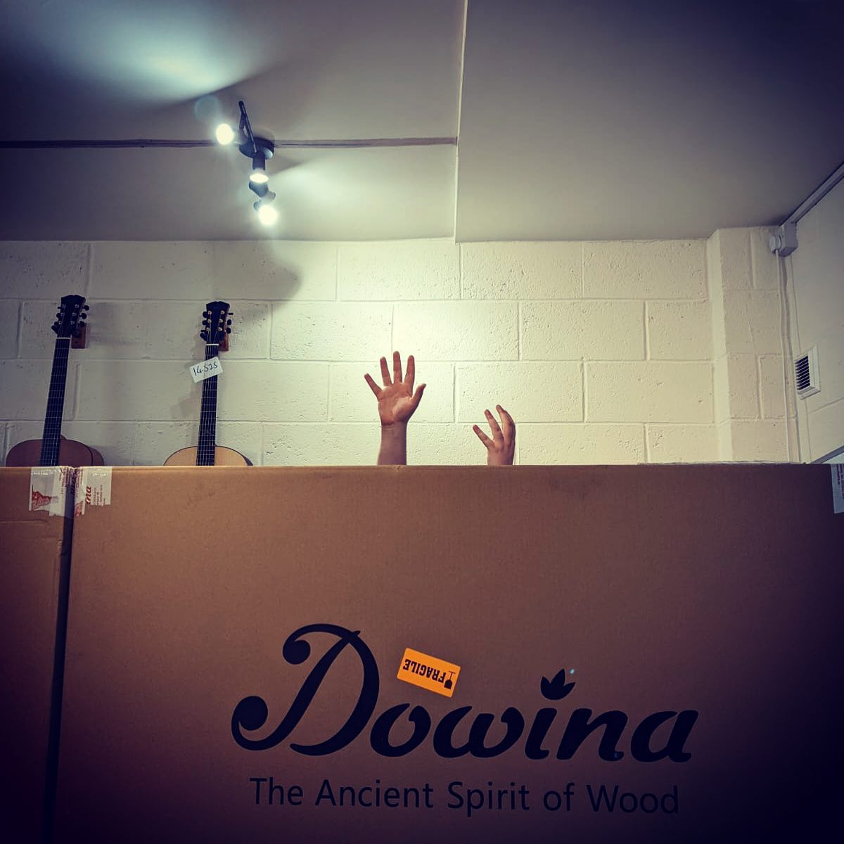 Dowina Delivery!  Some GORGEOUS Guitars Have Just Arrived - Richards Guitars Of Stratford Upon Avon